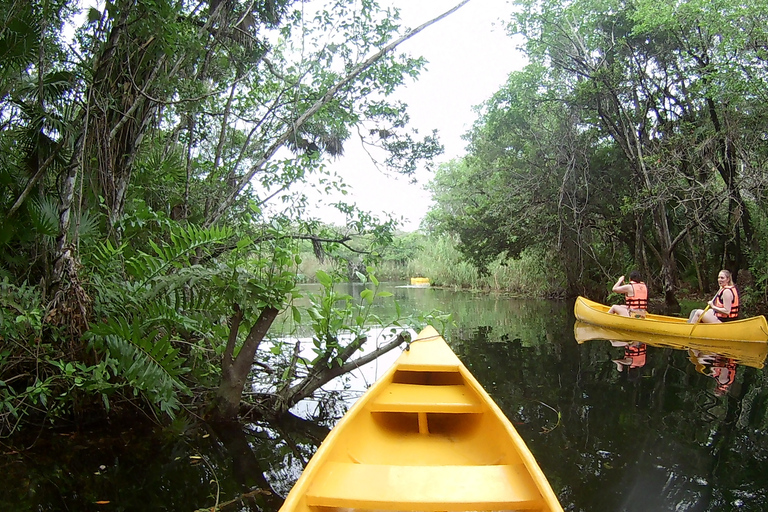 From Tulum: Four-Cenote Adventure Standard Option