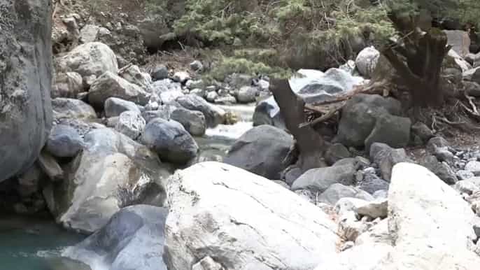 from agios nikolaos area samaria gorge day trip