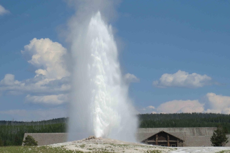 From Jackson: Yellowstone Day Tour Including Entrance Fee