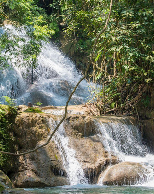 Oaxaca: Die BESTEN Sehenswürdigkeiten und Aktivitäten 2024 – KOSTENLOS ...