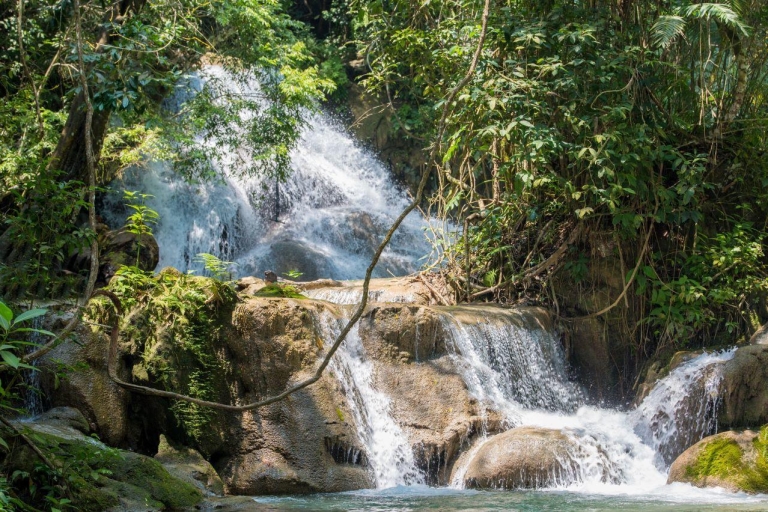 Huatulco: Kaffeefarm- und Wasserfalltour mit Mittagessen
