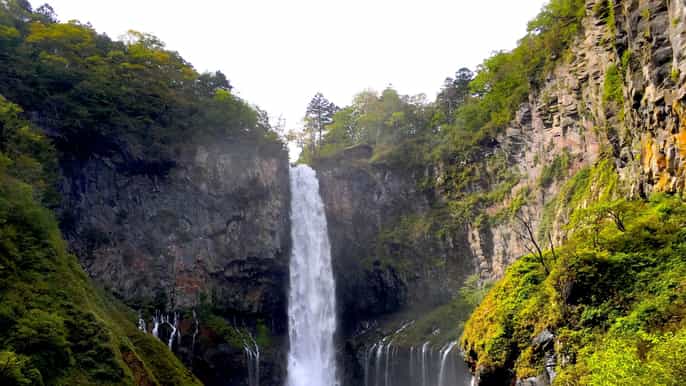 ab tokio unesco naturausflug nach nikko