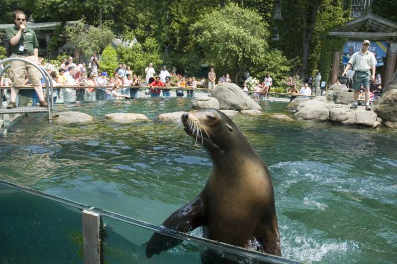 New York City: Central Park Zoo and Top Sights Walking Tour | GetYourGuide
