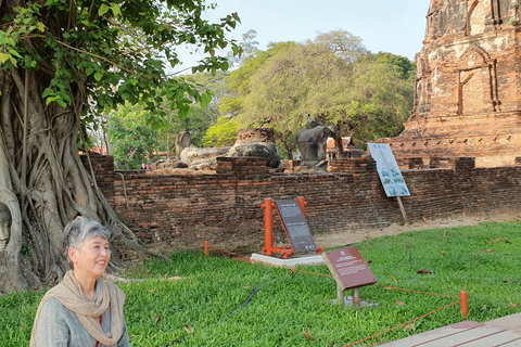 De Bangkok: excursion d'une journée au parc national d'Ayutthaya et Khao YaiParc national d'Ayutthaya et Khao Yai: visite privée