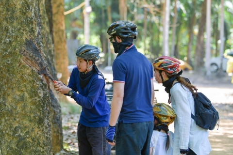 Phuket: ATV-tour mangrovejungle & verborgen strandenATV-ervaring van 1 uur