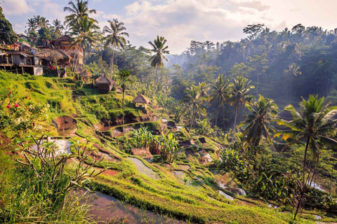 Ubud: Höjdpunkter Guidad tur i liten gruppUbuds höjdpunkter: Grupptur med entréavgifter