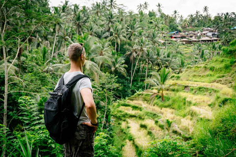 Ubud: Highlights Tour per piccoli gruppi guidatoTour di gruppo con biglietti d&#039;ingresso