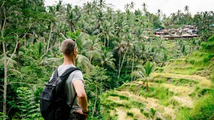 ubud highlights small group guided tour