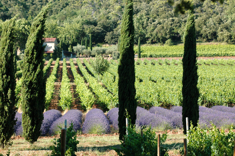 Aix En Provence en Wijnproeven Privé Hele Dag Tour