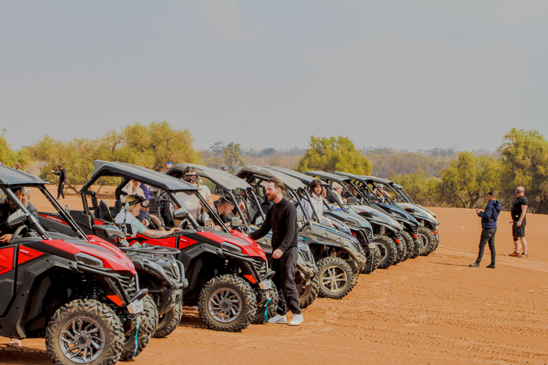 Agadir: Desert Buggy Tour with Berber Tea and Pickup