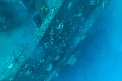 Bridgetown: Carlisle Bay Clear Kayak Shipwreck Tour