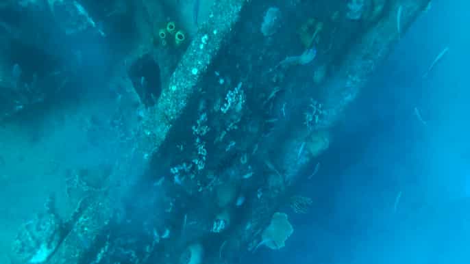 bridgetown carlisle bay clear kayak shipwreck tour