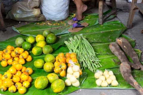 Iquitos: Visit the Exotic Belén Market + Venice Loretana