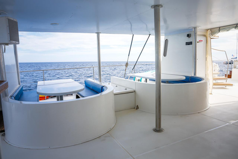 Denia/Jávea: a day at sea with paella on Isla Portitxol Denia/Jávea: a day at sea with paella on Portitxol Island