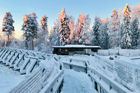 Rovaniemi: Excursión al Zoo de Ranua