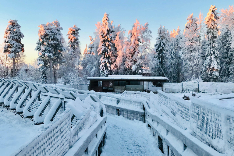 Rovaniemi: Viagem ao zoológico de Ranua