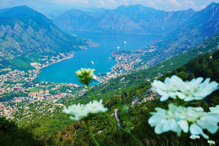 Kotor: Guided Full-Day Tour of Montenegro (Copy of) Copy of Standard Option