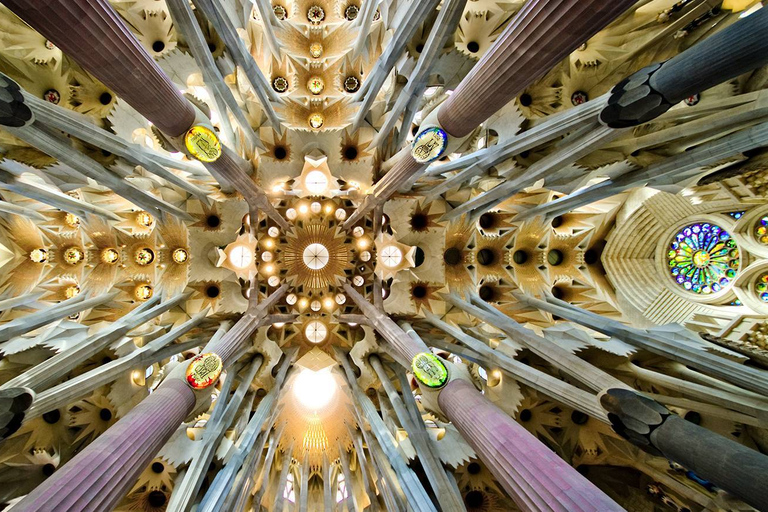 Best of Barcelona: Sagrada Familia & Park Guell with Pickup Group Tour in Spanish (Entry Fees Not Included)