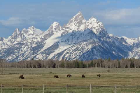 Grand Teton National Park: Full-Day Tour with Boat Ride