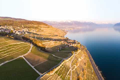 Lavaux: Panoramic Dinner Experience
