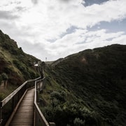 Mornington Peninsula Hiking & Hot Springs Tour - Small Group