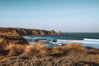 Phillip Island, Nature Hike and Penguin Parade with Guide - Housity