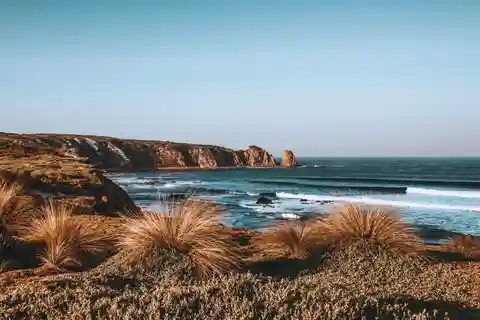Ilha Phillip: Caminhada e desfile de pinguins - Excursão pequena para 8 pessoas