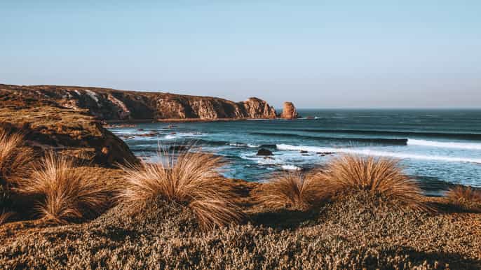 phillip island day tour