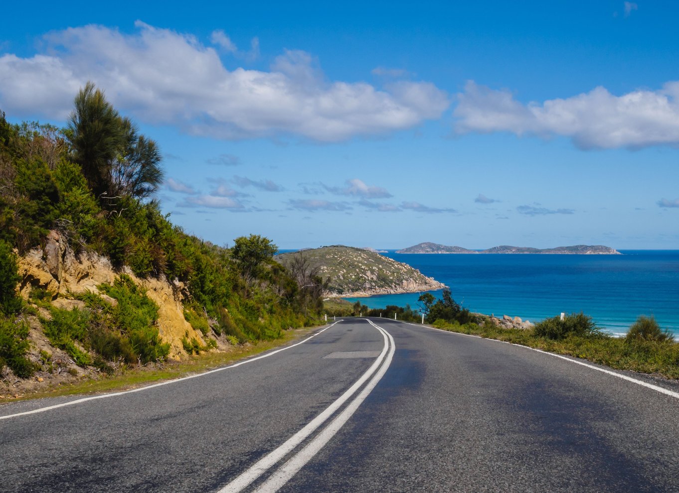 Fra Melbourne: Wilsons Promontory dagstur med en lille gruppe