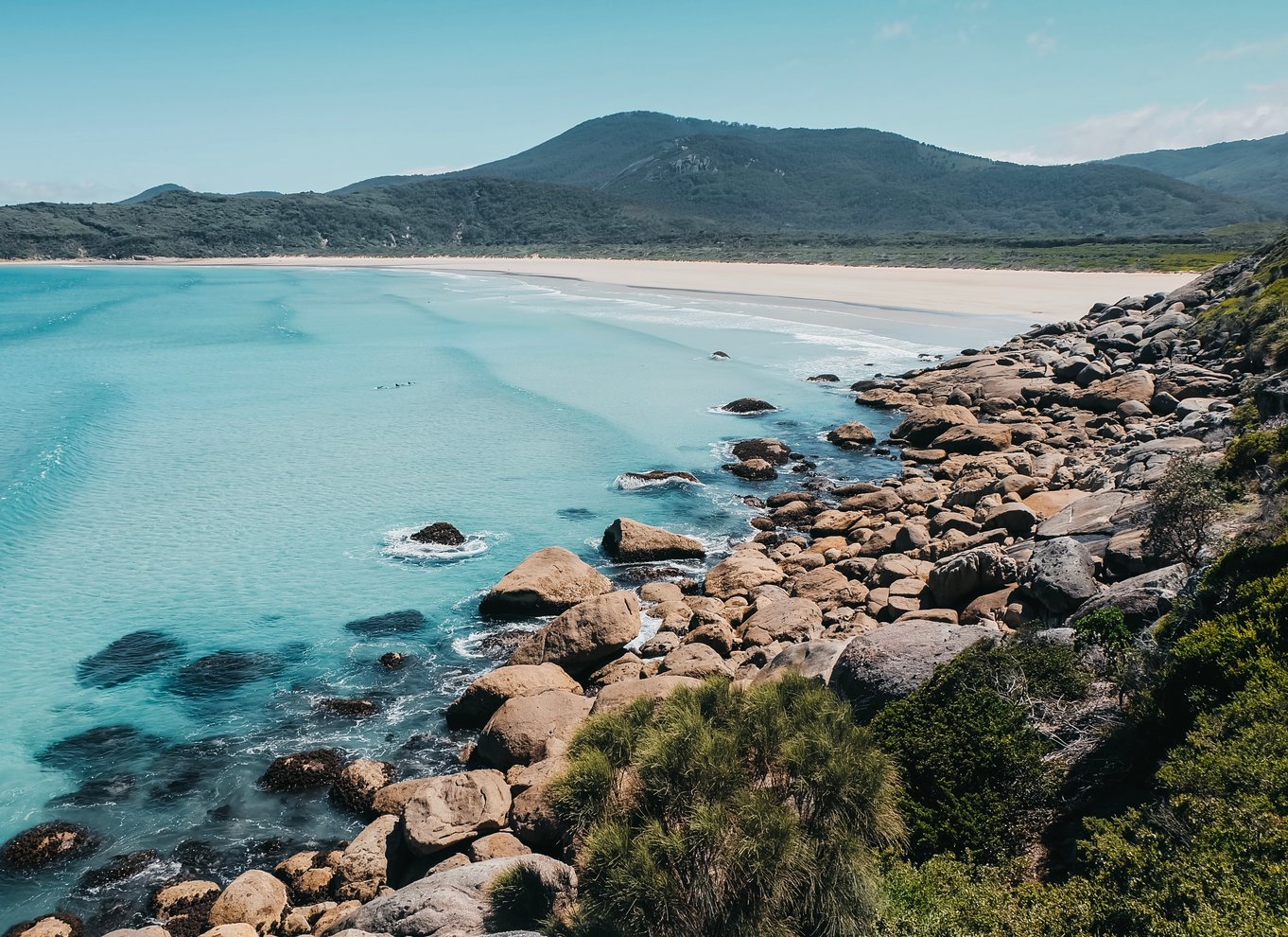 Fra Melbourne: Wilsons Promontory dagstur med en lille gruppe