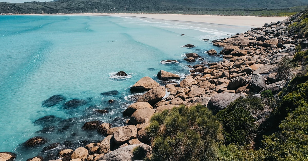 From Melbourne Wilsons Promontory Day Tour GetYourGuide