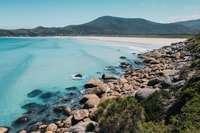 From Melbourne, Wilsons Promontory Day Tour - Housity