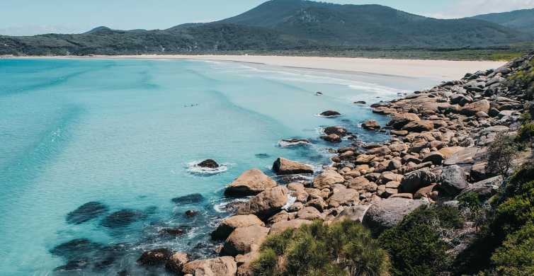 From Melbourne Wilsons Promontory Day Tour