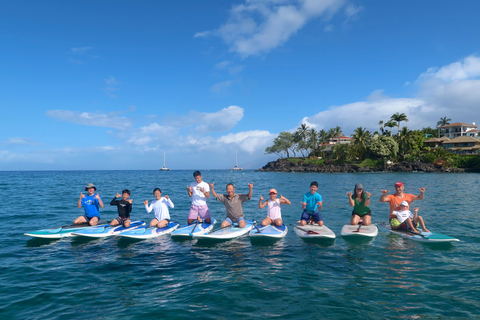 Maui: privé-stand-up paddleboardles op beginnersniveau