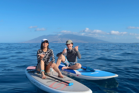 Maui: privé-stand-up paddleboardles op beginnersniveau