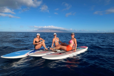 Maui: privé-stand-up paddleboardles op beginnersniveau