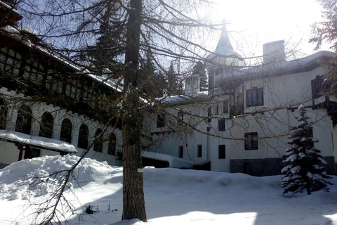 Viagem de 1 dia para o inverno na Montanha RilaViagem de um dia de inverno à montanha de Rila