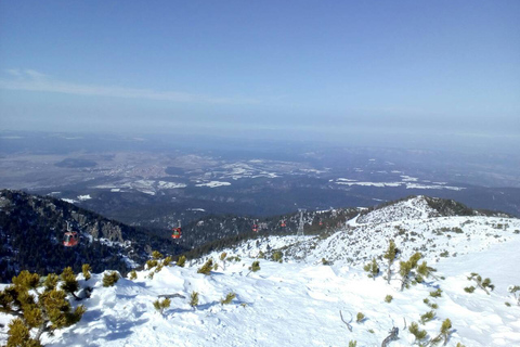 Viagem de 1 dia para o inverno na Montanha RilaViagem de um dia de inverno à montanha de Rila