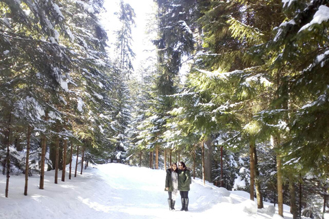 Escursione invernale sul monte RilaGita di un giorno invernale al monte Rila