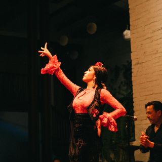 Barcellona: spettacolo di flamenco a Tablao de Carmen