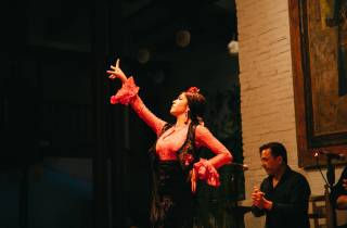 Barcelona Flamenco-Show: Tablao de Carmen Tickets