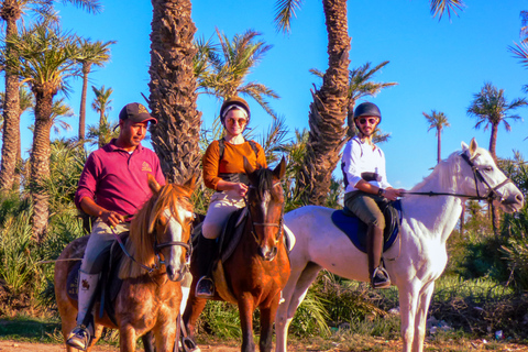 Marrakech: tour a cavallo del palmeto