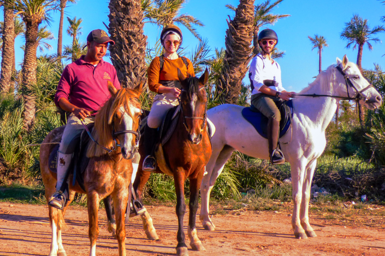 Marrakech: Palm Grove Ridningstur på hästryggen