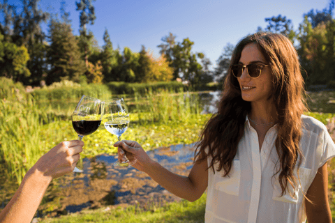 concha y toro official winery tour