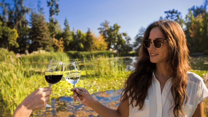 concha y toro official winery tour