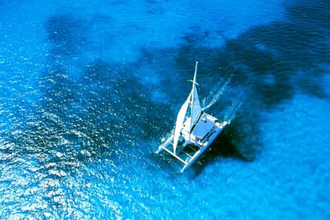 Sunny Beach: Half-Day Black Sea Catamaran Cruise