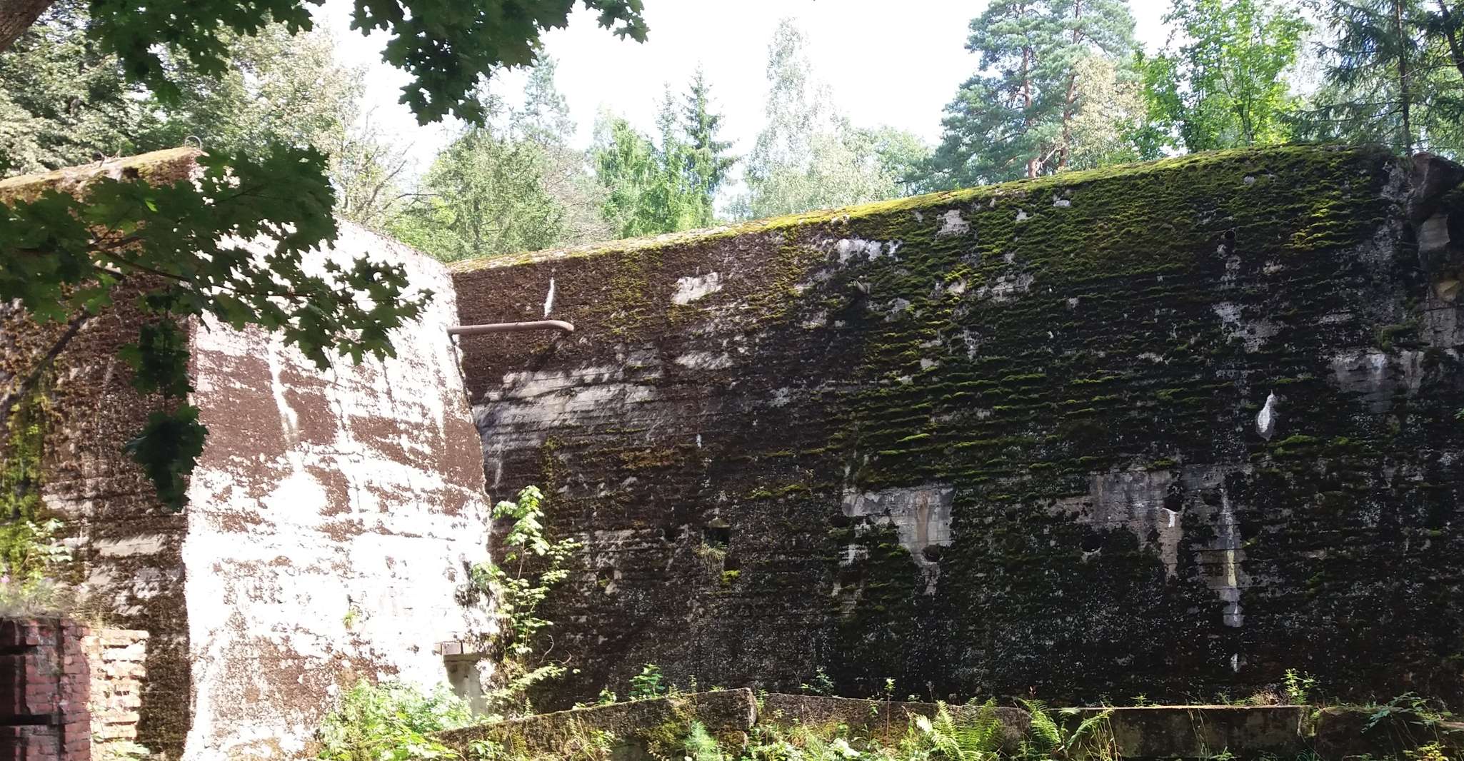 From Warsaw, Tour of the Wolf's Lair, Hitler's HQ by Car - Housity