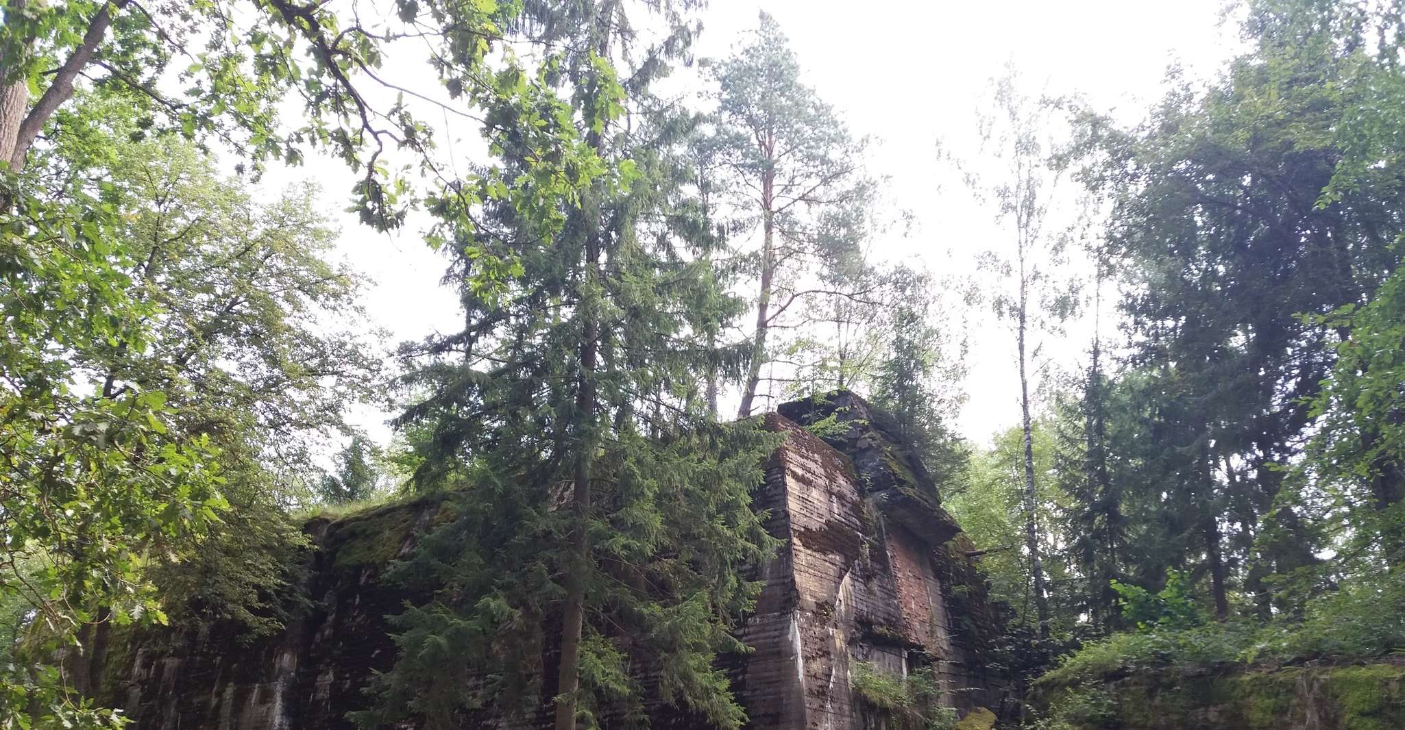 From Warsaw, Tour of the Wolf's Lair, Hitler's HQ by Car - Housity