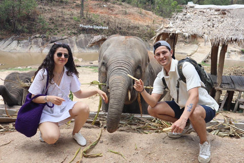 Chiang Mai 2-Day: Good Morning Elephant & Overnight Homestay
