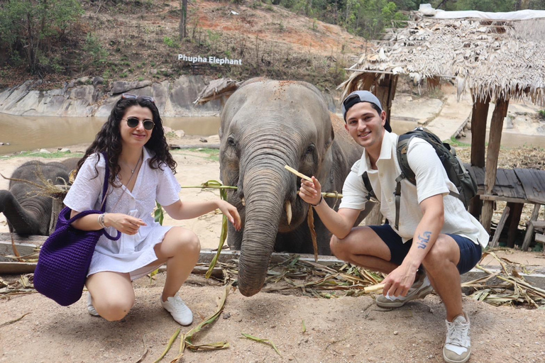 Chiang Mai 2-Day: Good Morning Elephant & Overnight Homestay